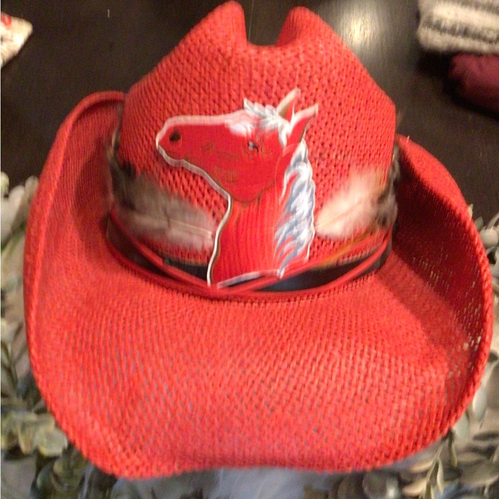 NEW! Vintage upcycled Peter Grimm Red Straw Cowboy Hat with Horse Patch - Picture 3 of 8